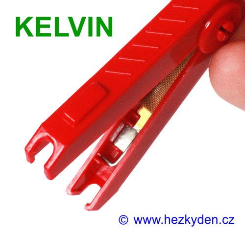 Kelvinova krokosvorka